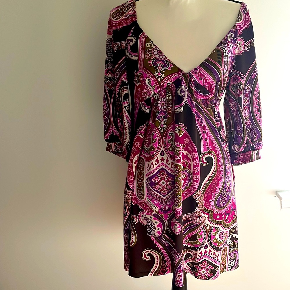 Vintage Alyn Paige dress